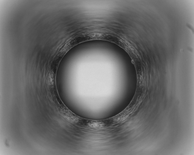 X0000098030561200804111324