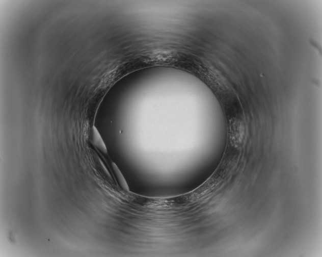 X0000098030563200804111325