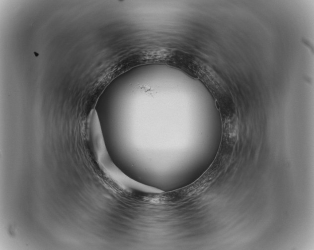 X0000098030564200804111325