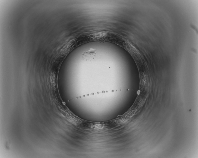 X0000098030565200804111325