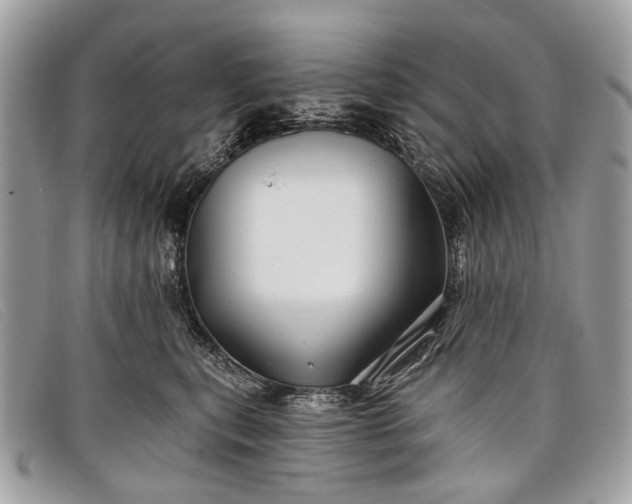 X0000098030567200804111325