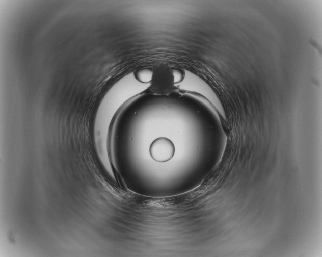 X0000098030568200804111325