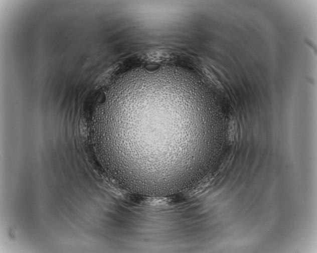 X0000098030569200804111325