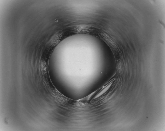 X0000098030571200804111325