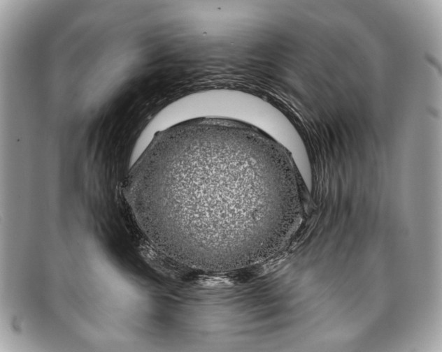 X0000098030572200804111325