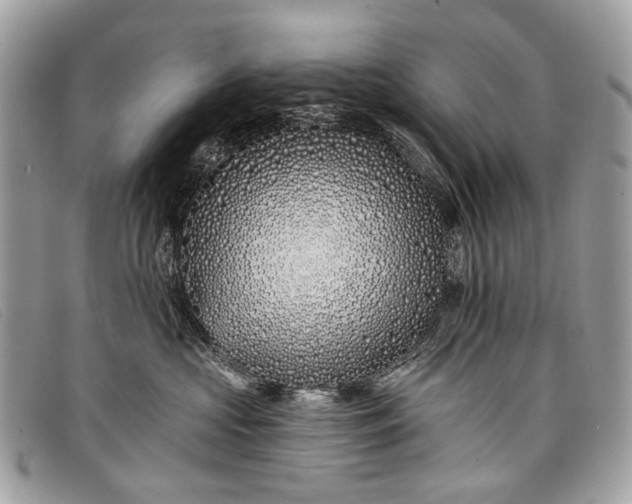 X0000098030573200804111325