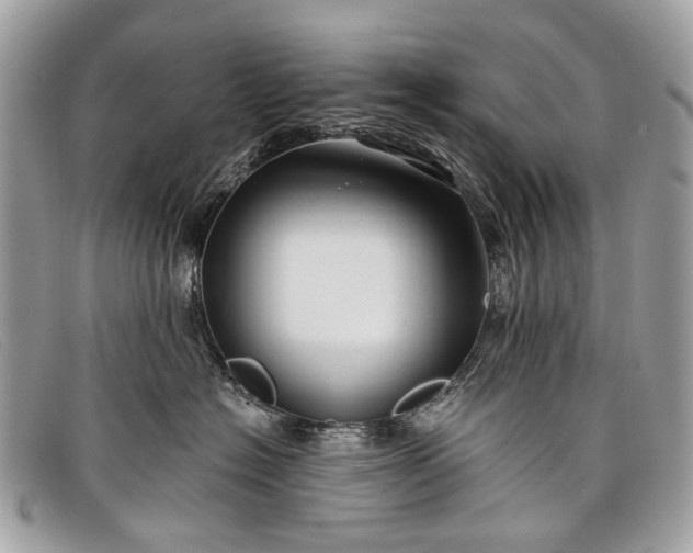 X0000098030574200804111325