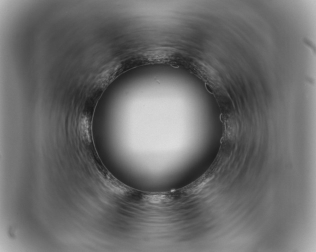 X0000098030575200804111325