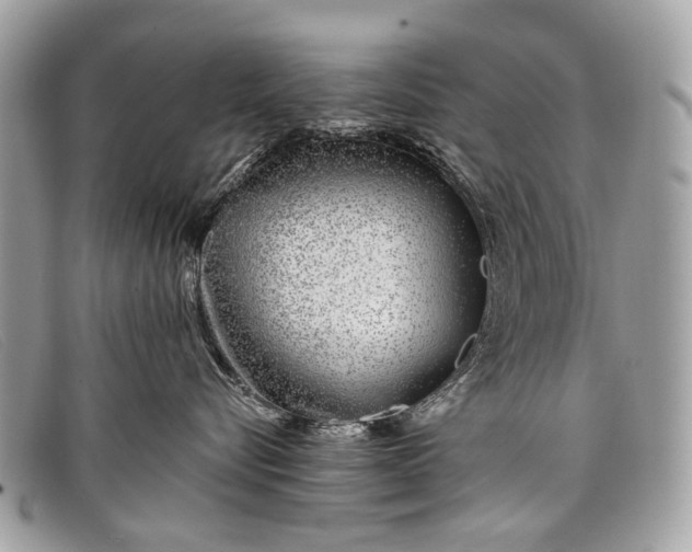 X0000098030576200804111325