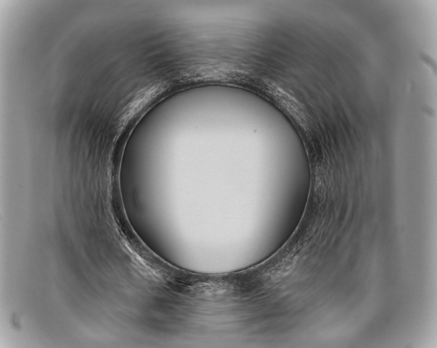 X0000098030578200804111324