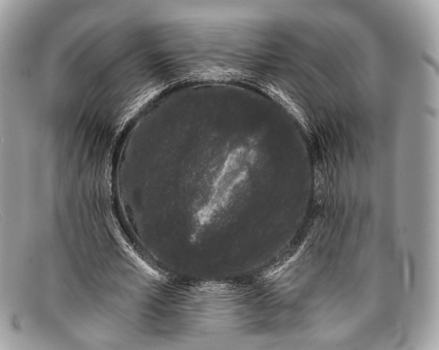 X0000098030581200804111324