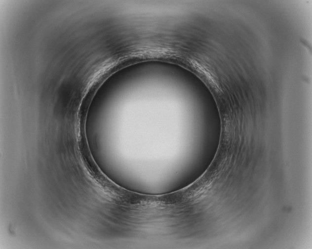 X0000098030582200804111324