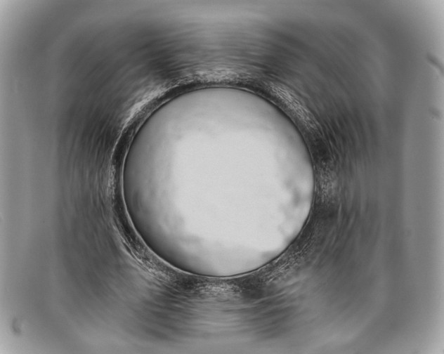 X0000098030583200804111324