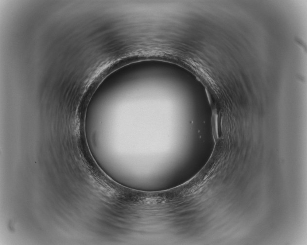 X0000098030584200804111324