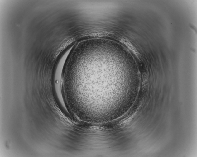 X0000098030585200804111324