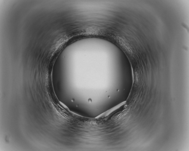 X0000098030588200804111324