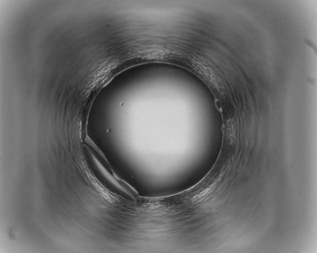 X0000098030589200804111324