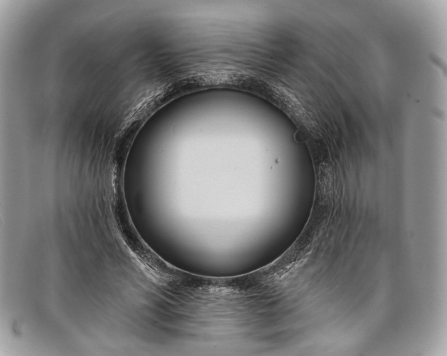 X0000098030590200804111324