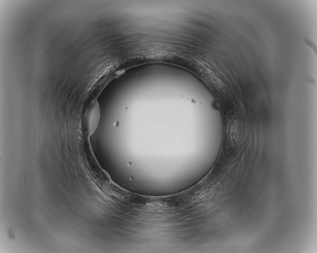 X0000098030591200804111324