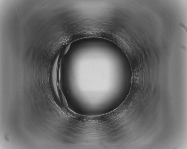 X0000098030593200804111324