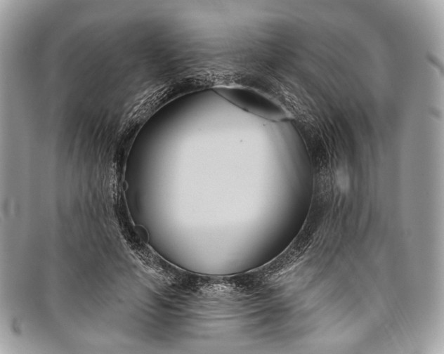 X0000098030594200804111324