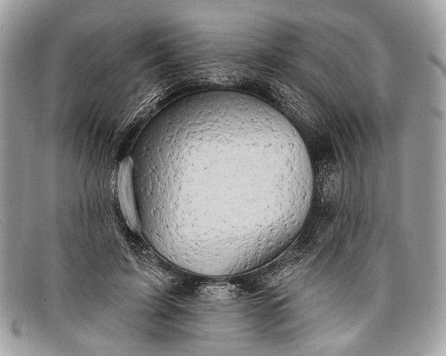 X0000098030595200804111324