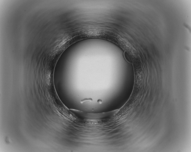 X0000098030596200804111324