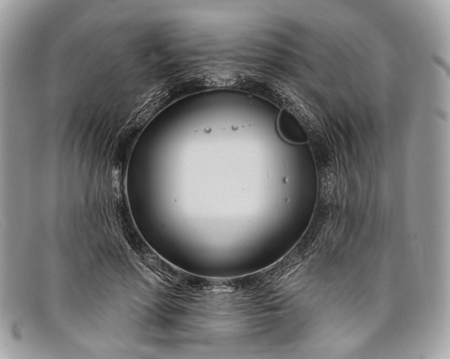 X0000098030598200804111324