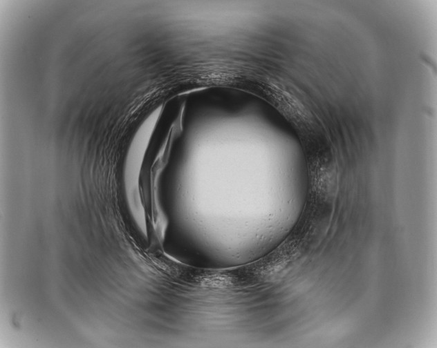 X0000098030599200804111324