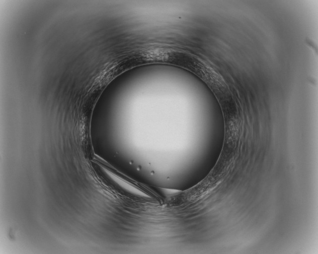 X0000098030600200804111324