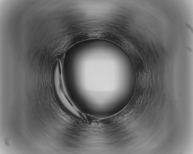 X0000098030601200804111324