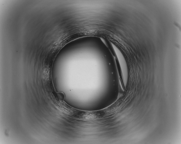 X0000098030604200804111324