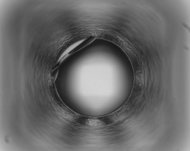 X0000098030605200804111324