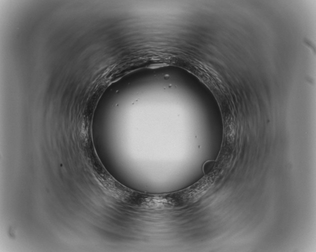 X0000098030607200804111324