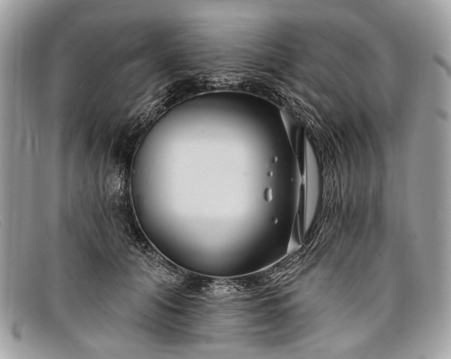 X0000098030608200804111324