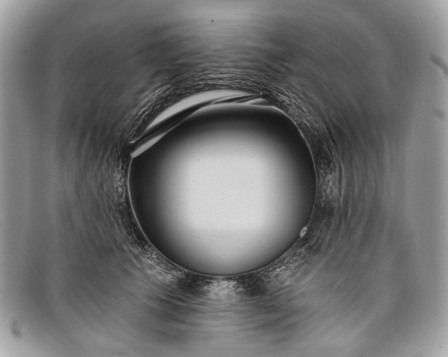 X0000098030609200804111324