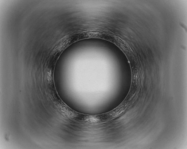 X0000098030610200804111324