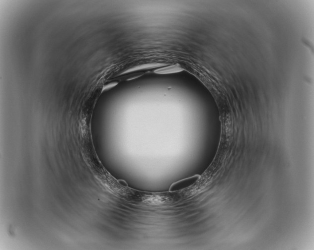 X0000098030611200804111324