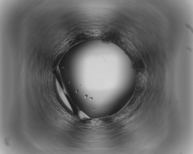 X0000098030612200804111324