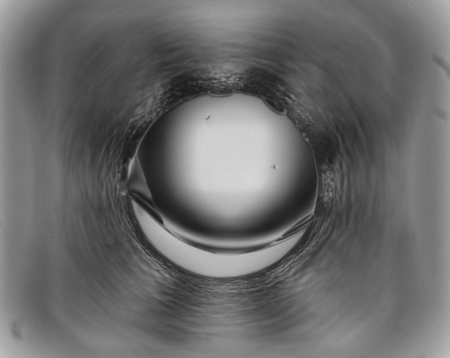 X0000098030613200804111324