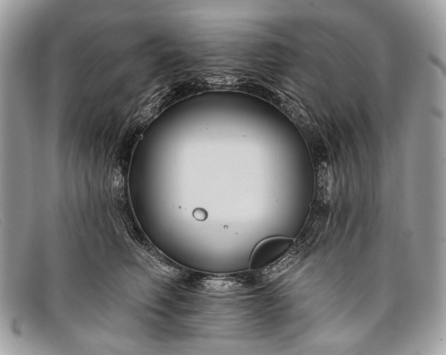 X0000098030614200804111323