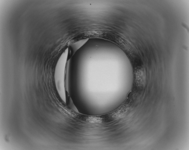 X0000098030617200804111323