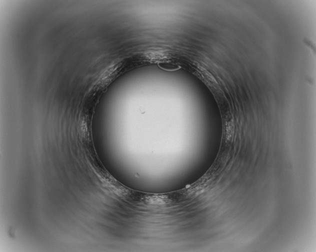 X0000098030618200804111323