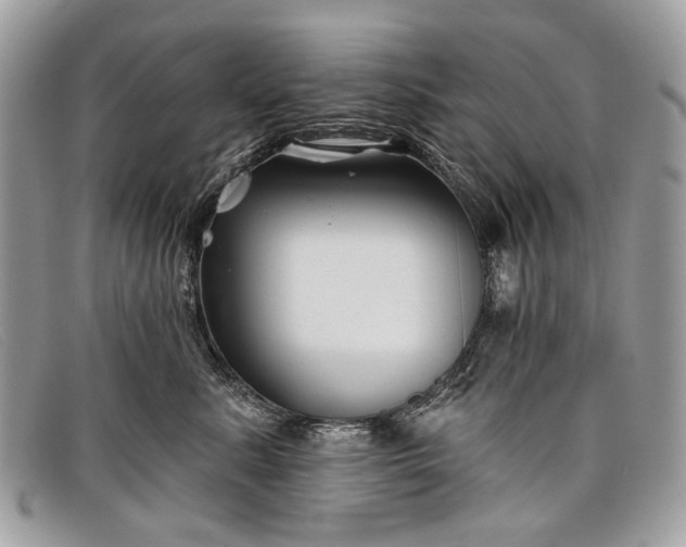 X0000098030619200804111323