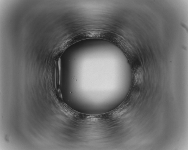 X0000098030620200804111323