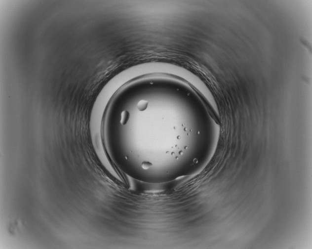 X0000098030621200804111323