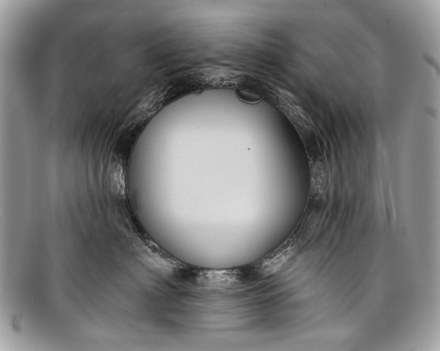 X0000098030622200804111323