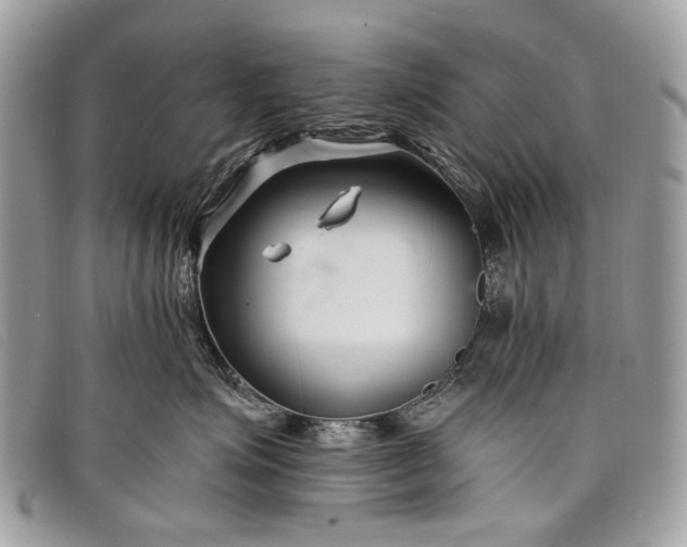 X0000098030623200804111323