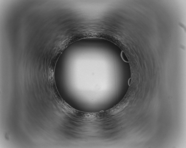 X0000098030624200804111323