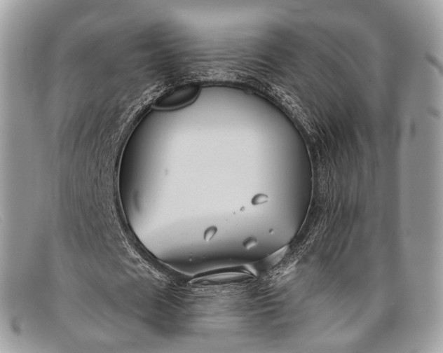 X0000098030625200804111323